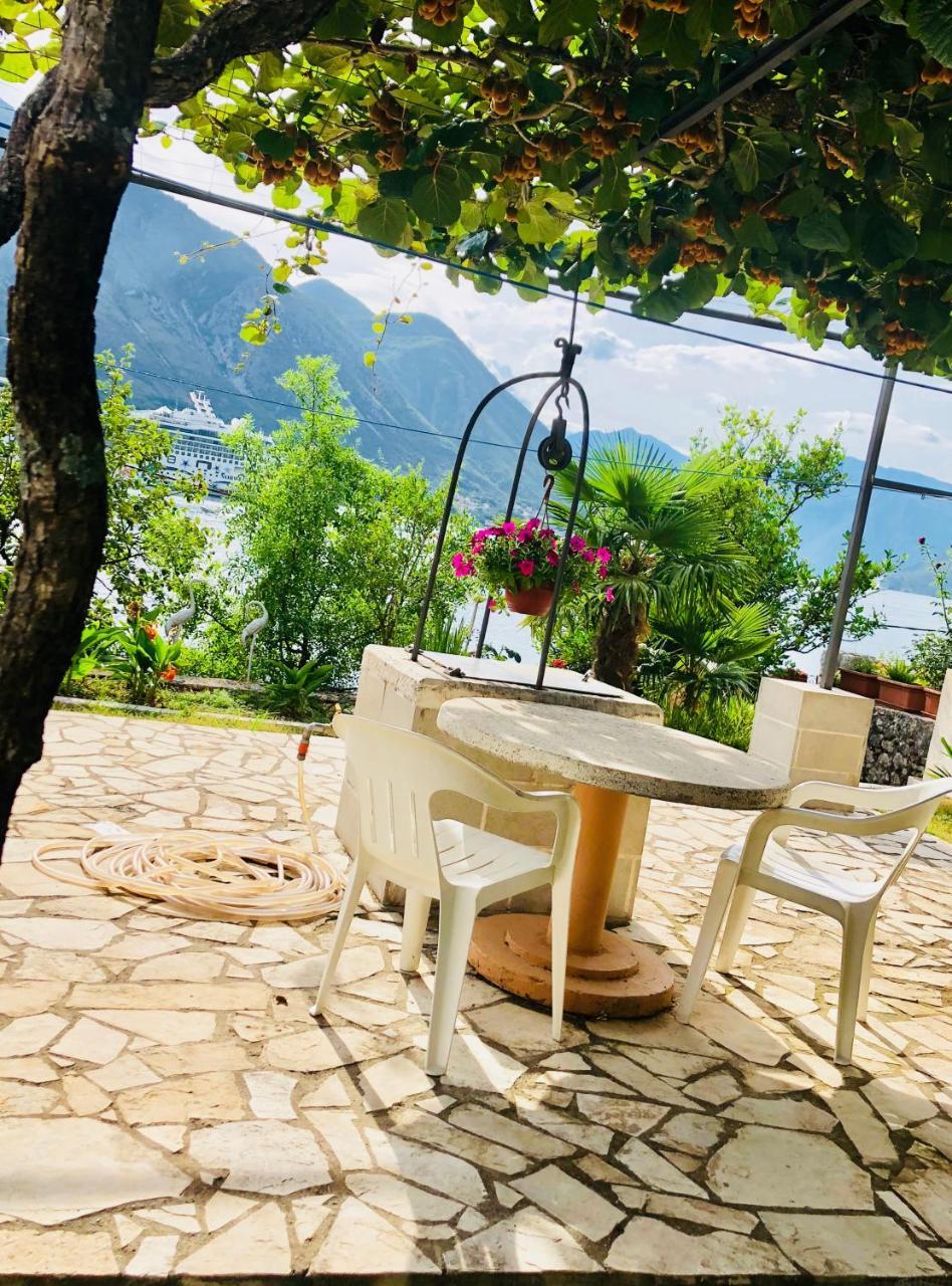 Studio Apartment Todorovic Kotor Eksteriør bilde