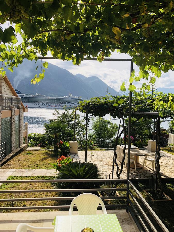 Studio Apartment Todorovic Kotor Eksteriør bilde